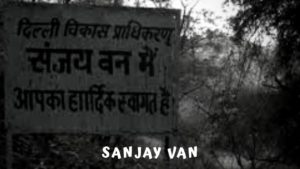 Haunted Sanjay Van